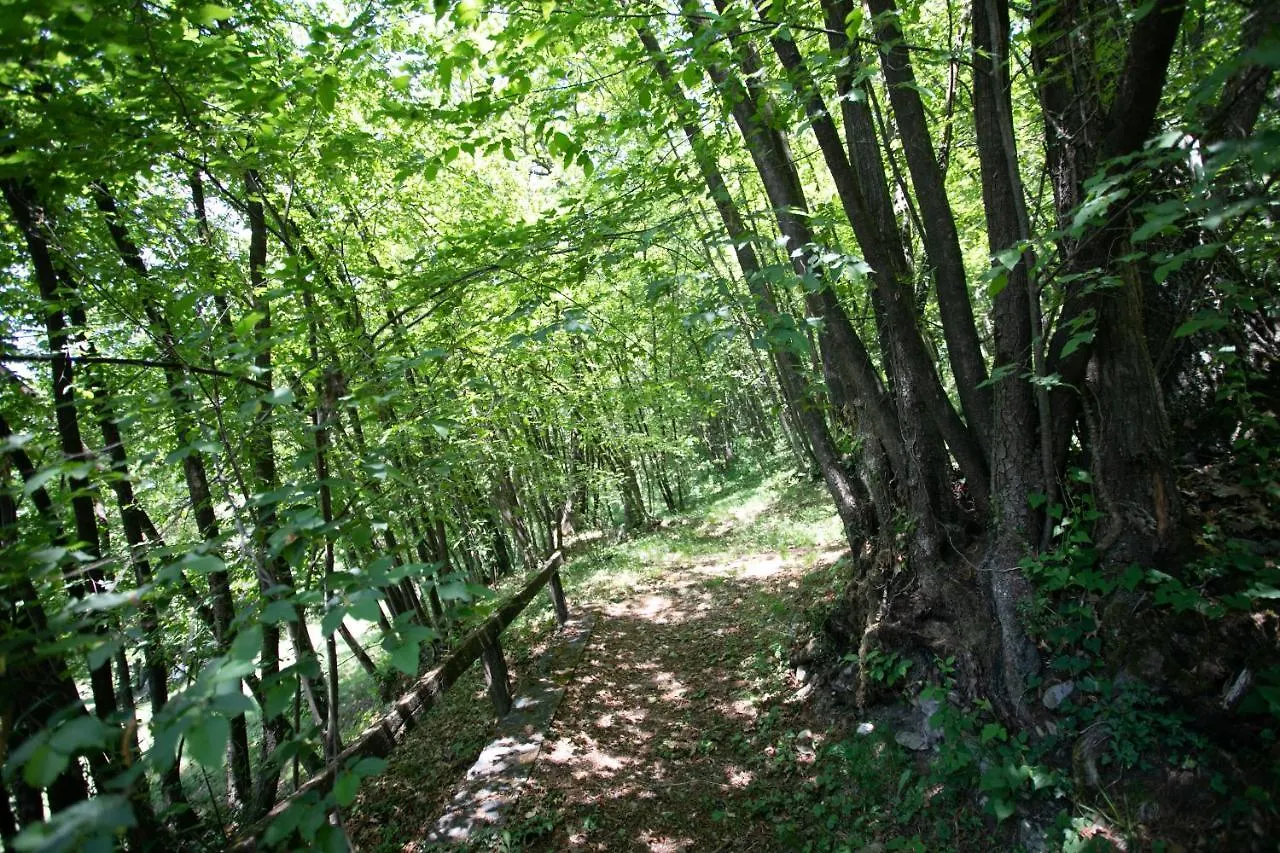 Fabula Home Rental - Relax Nel Bosco Sovere Villa